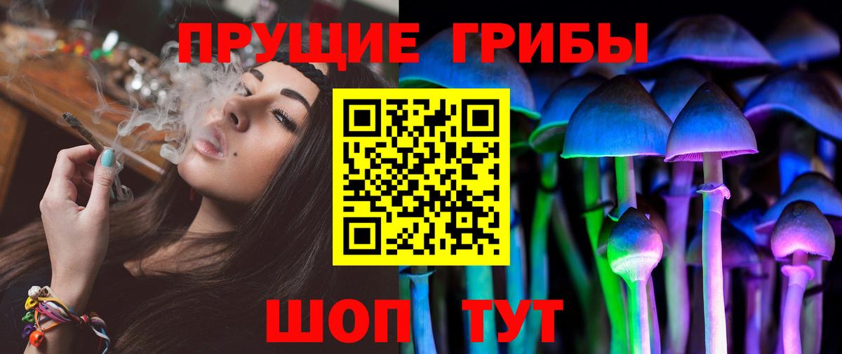Избербаш  где купить наркотик  Вход с VPN  Галлюциногенные грибы Psilocybe 