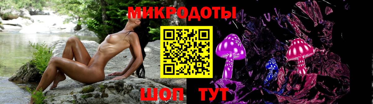 Галлюциногенные грибы GOLDEN TEACHER Избербаш